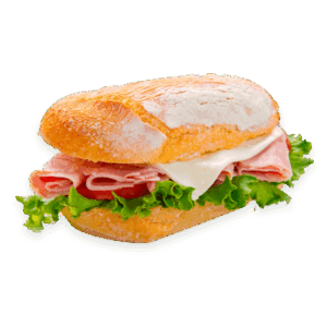 Pannini
